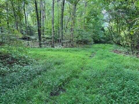 Lot 1205 1206 Lee Place, Baneberry, TN 37890