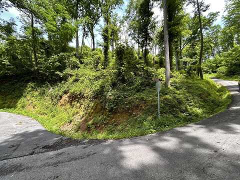 Lot 22a Davenport Rd, Gatlinburg, TN 37738