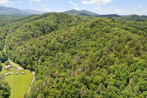 0 Ball Hollow Road, Cosby, TN 37722