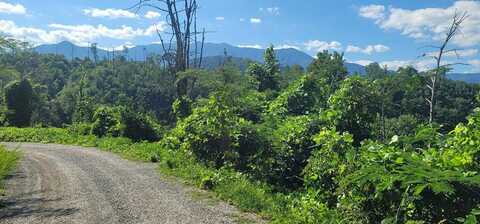 Parcel 08 Kristis Place, Gatlinburg, TN 37738