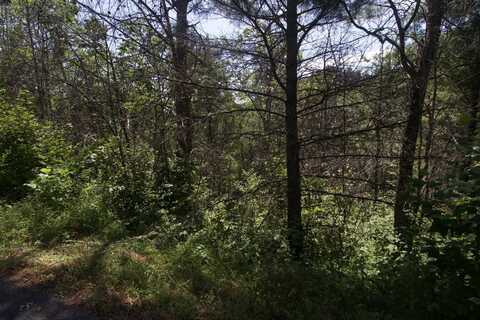 Lot 3-r Lone Ridge Drive, Sevierville, TN 37862