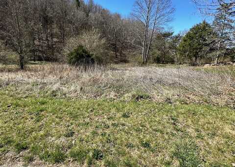 Lot 20 Perilla Rd Road, Cosby, TN 37722