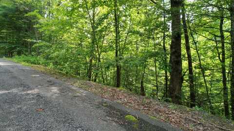 Lot 98e Black Powder Lane, Sevierville, TN 37862