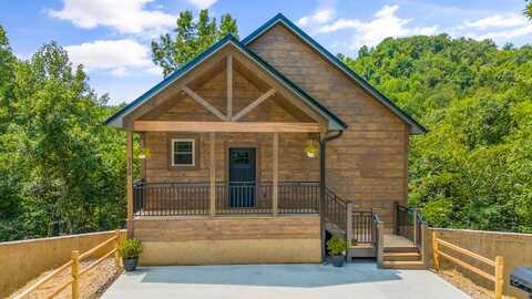 3340 Frontier View Drive, Sevierville, TN 37876