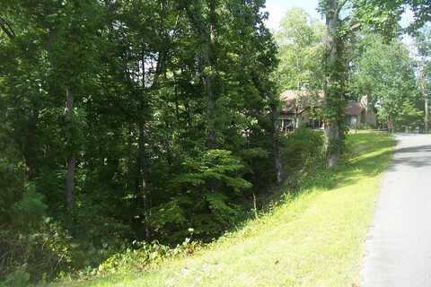 Lot 53 Hid View St, Pigeon Forge, TN 37863