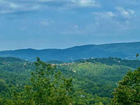 1824 Pinestand Ridge Way Way, Sevierville, TN 37862