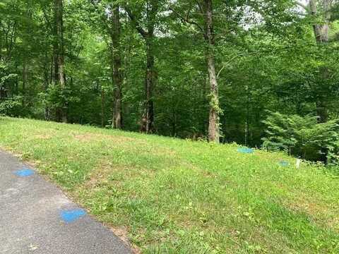 Laurel Road, Townsend, TN 37882