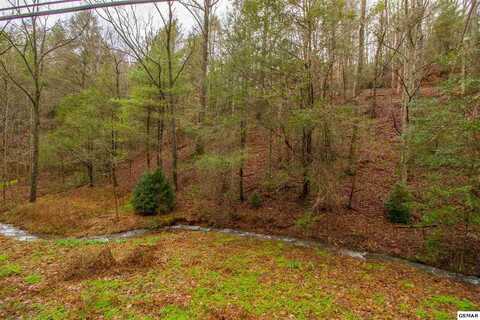 543 Butler Branch Road, Gatlinburg, TN 37738