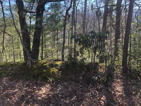 Lot 53 Magnolia Place, Sevierville, TN 37876