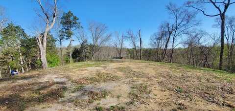 331 Chestnut Ridge, Walland, TN 37886