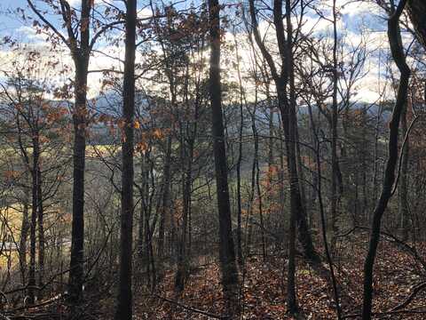 0 Little Meadow Creek Road, Greeneville, TN 37743