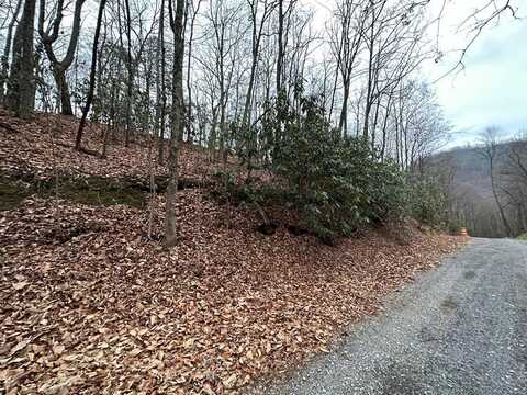 Lot 43 Trailer Park Lane, Sevierville, TN 37876