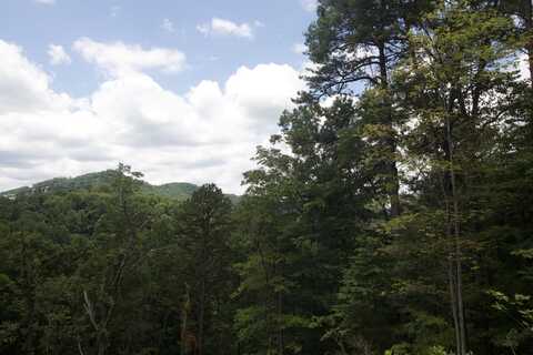 Lot 007b Shagbark Hickory Ridge, Sevierville, TN 37862