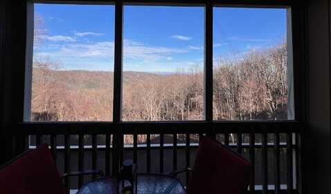 1102 SKI VIEW DR UNIT 206 Drive, Gatlinburg, TN 37738