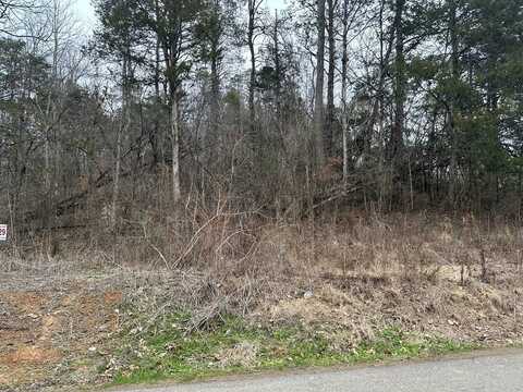 Lot 29 Lower English Creek Road, Newport, TN 37821