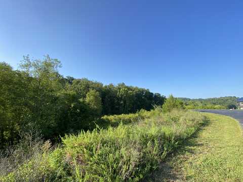 Lot 65 Sanctuary Shores Way, Sevierville, TN 37876