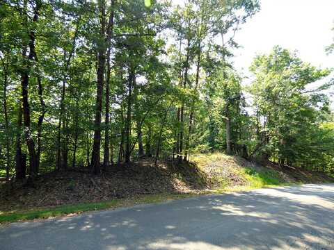 Lot R-48 Cherry Brook Drive, Dandridge, TN 37725