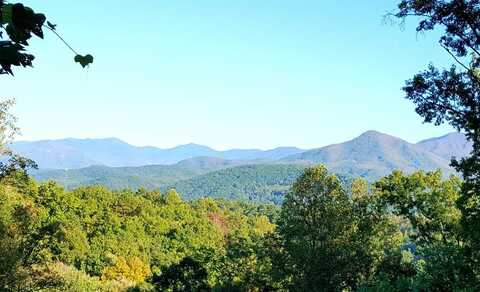 1103 Longview Court, Gatlinburg, TN 37738