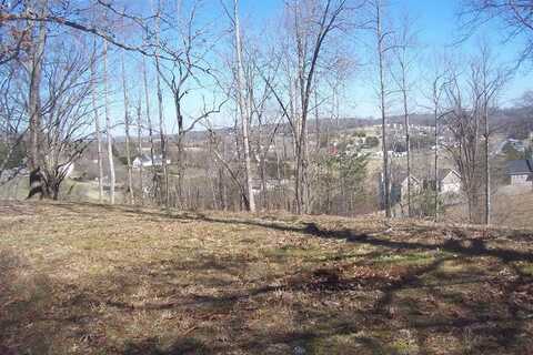 Lot 5 Sandpiper Court, Kodak, TN 37764