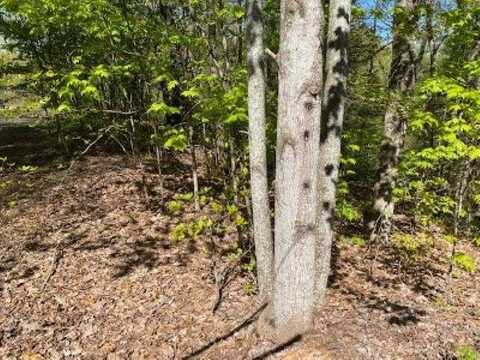 Lot 72 Poplar Place, Sevierville, TN 37876