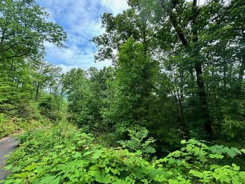 Lot 2 High Ridge Way, Sevierville, TN 37862