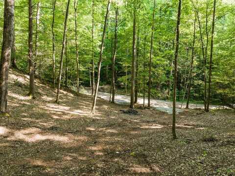 Lot 14 Cara Way, Cosby, TN 37722