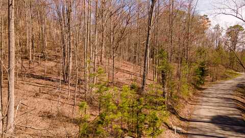 Lot 2-r Lone Ridge Drive, Sevierville, TN 37862