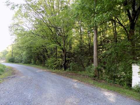 Par 023.04 Driftwood Road, Cosby, TN 37722