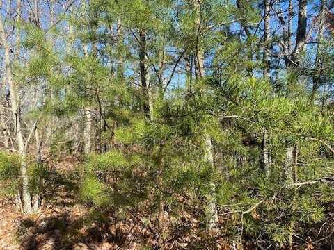 Lot 52 Butternut Lane, Sevierville, TN 37876