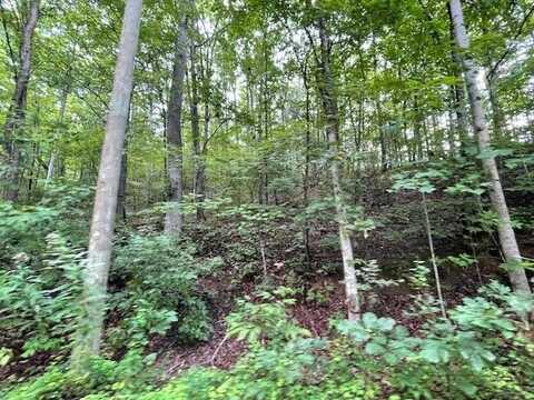 Lot 51 Yellowwood Dr, Sevierville, TN 37876