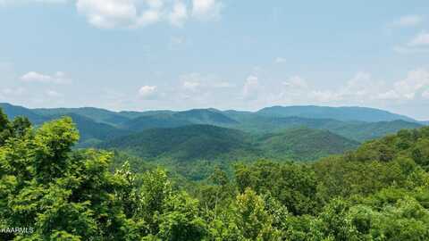 Lot 60w W Longhunter Lane, Sevierville, TN 37862