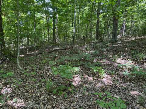 6.8 Acres Friendship South Road, Greeneville, TN 37616