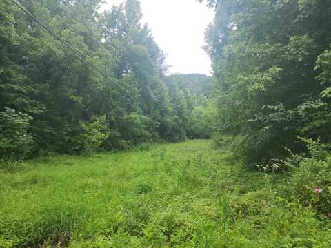 00 Rocky Flats Rd Road, Sevierville, TN 37876