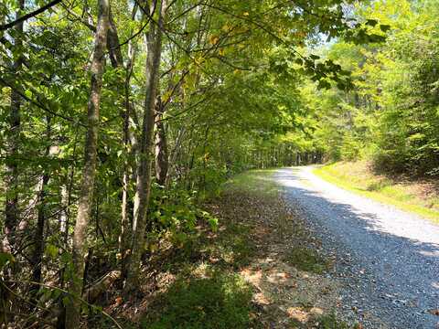 Tract 8 Faith Mountain Way, Hartford, TN 37753