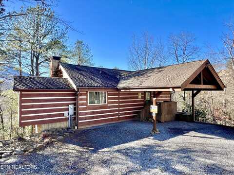 317 Matterhorn Dr Drive, Gatlinburg, TN 37738