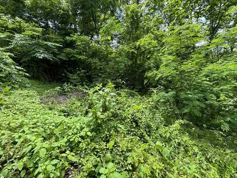 Lot 7 Kings Ridge Rd E, Gatlinburg, TN 37738