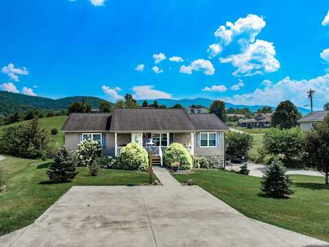 1109 Caleb Lane, Newport, TN 37821