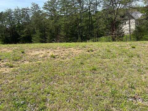 Lot 7 Jobey Green Hollow Road, Sevierville, TN 37876