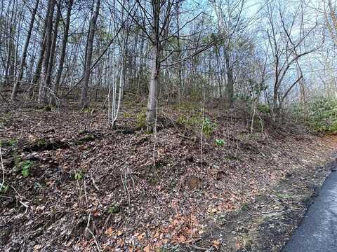 Lot 10 Black Gum Road, Gatlinburg, TN 37876