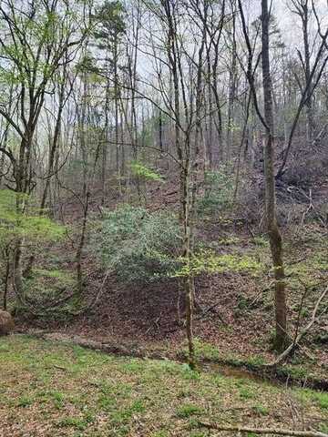 Lot 19 Hidden Hollow Way, Sevierville, TN 37862