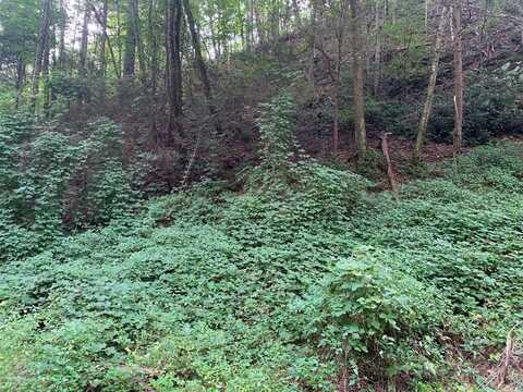 Lot 40 Black Walnut Flats Road, Sevierville, TN 37862