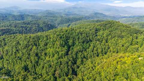 1017 Big Buck Trail, Townsend, TN 37882