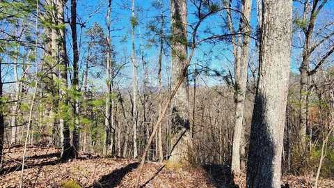 Lot 80 Dollys Drive, Sevierville, TN 37862