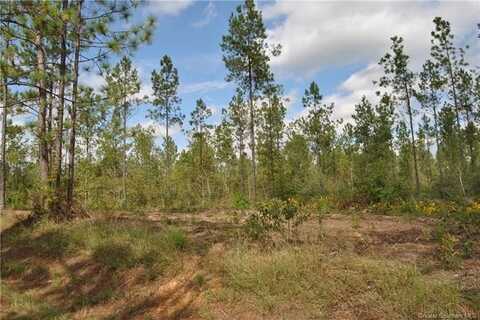 0 Camp Pearl Loop N, Reeves, LA 70658