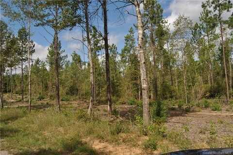 0 Camp Pearl Loop N, Reeves, LA 70658