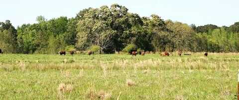 Snooky's Road, Reeves, LA 70658