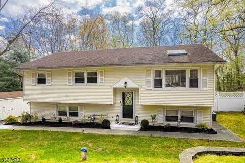 33 Mountain Rd, Roxbury Township, NJ 07852