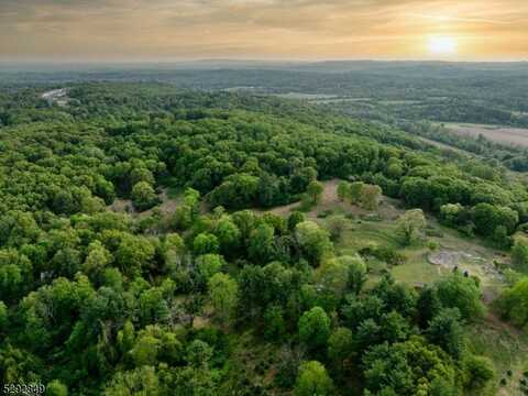 11 Wright Ln, Mendham, NJ 07931