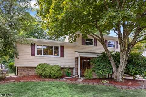 6 Saint Marys Dr, Roxbury Township, NJ 07876