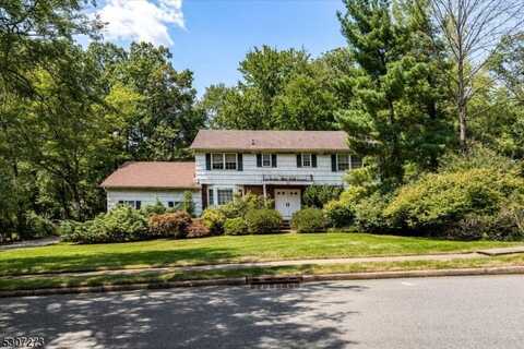 10 Flanders Dr, Montville, NJ 07058